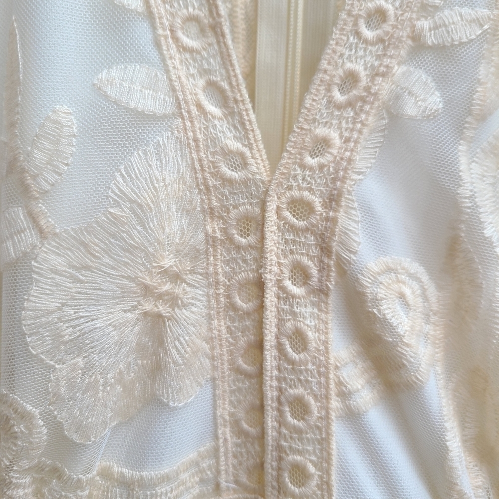 Haute Monde Sheer Embroidered Lace Maxi Dress, Boho Festival, Size Medium - Picture 8 of 11